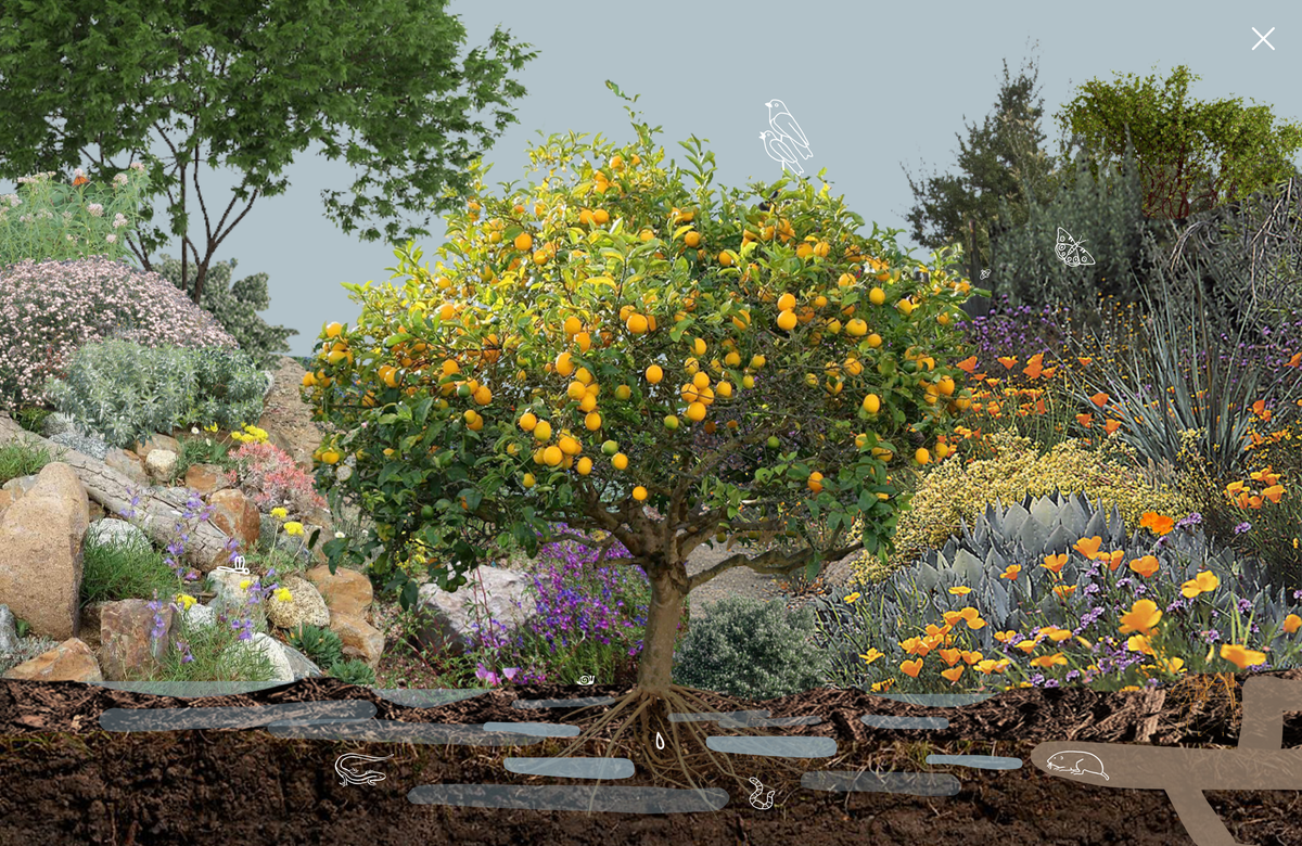 A refreshed Field Kit, open to the public