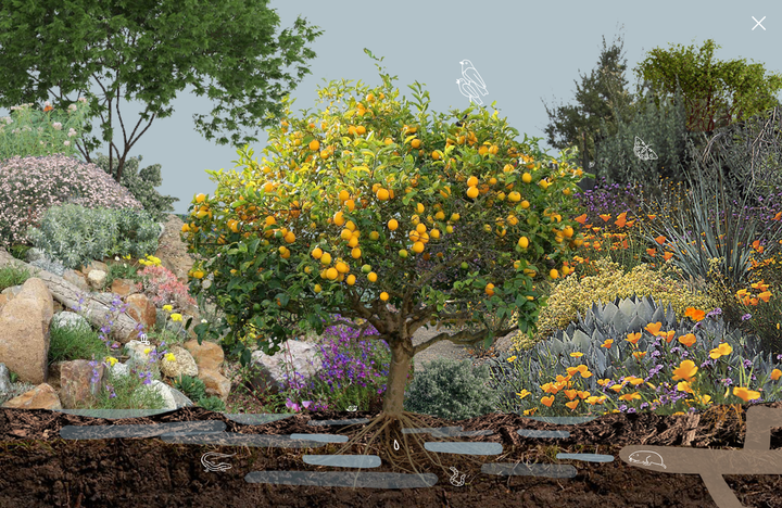 A refreshed Field Kit, open to the public